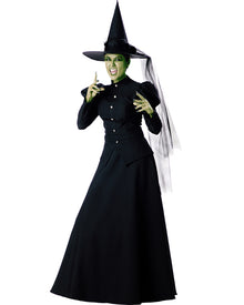 Elite Wicked Witch Womens Halloween Costume