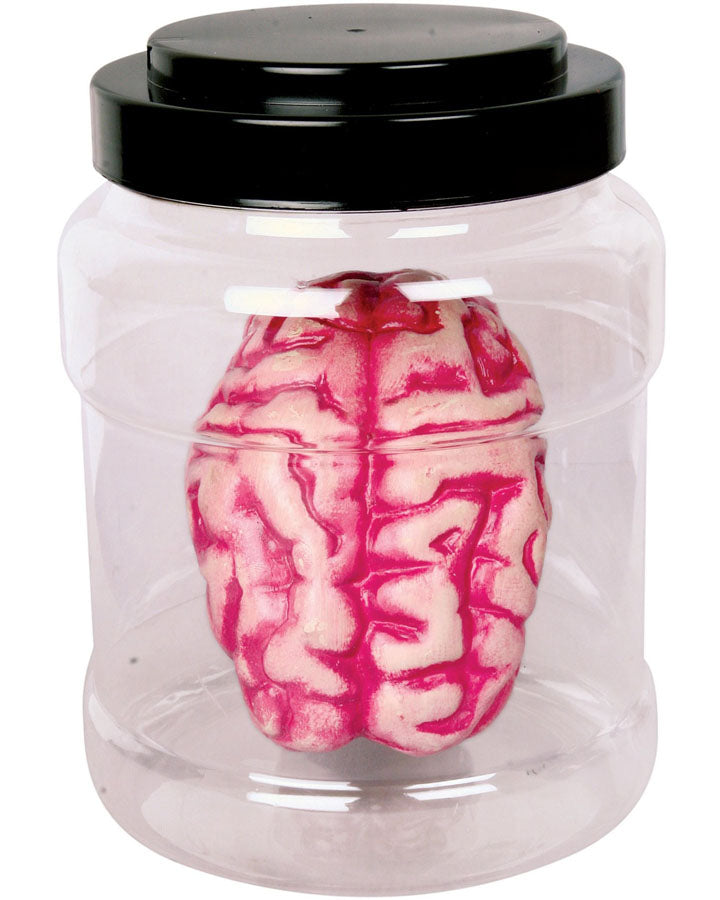 Laboratory Specimen Brain