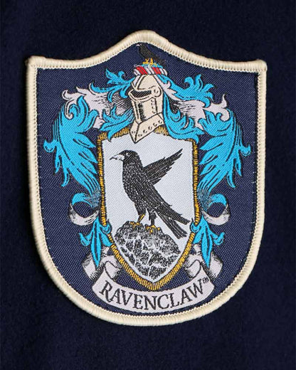 1920s Hogwarts Ravenclaw Adult Book Week Costume Robe