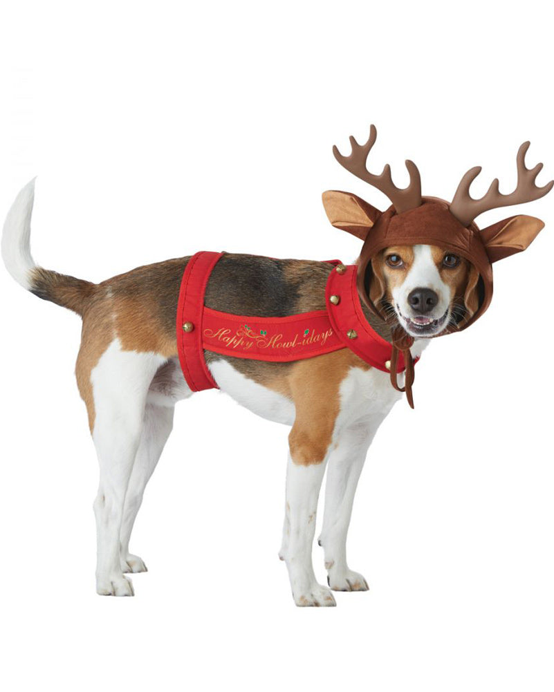 Reindeer Dog Pet Christmas Costume