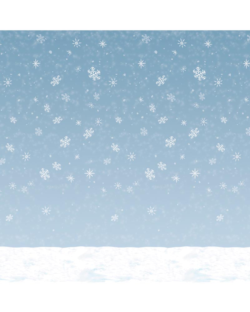 Winter Sky Wall Backdrop