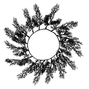 Deadly Soiree Black Foliage Table Placemats Pack of 4