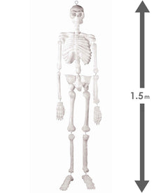 Giant Skeleton Hanging Halloween Prop 1.5m
