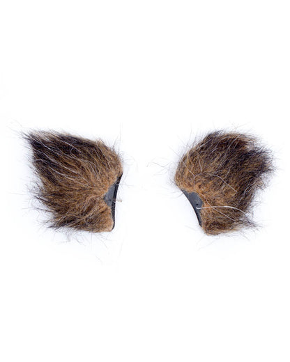 Cat Ears and Tail