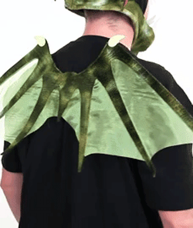 Dragon Wings