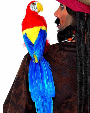 Pirate Parrot Prop