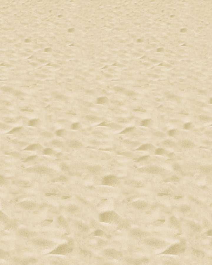 Sandy Beach Room Roll 9m