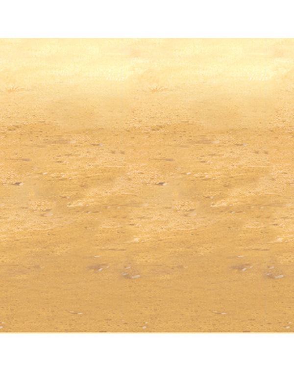 Western Desert Sand Backdrop 9m