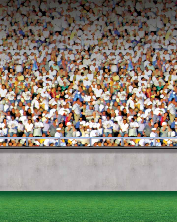 Lower Deck Stadium Backdrop 9m