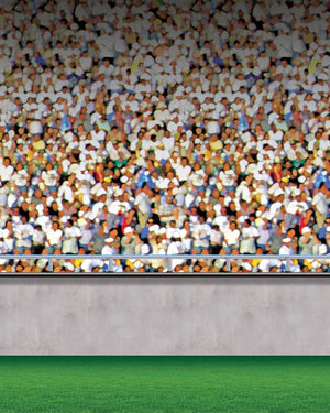 Lower Deck Stadium Backdrop 9m