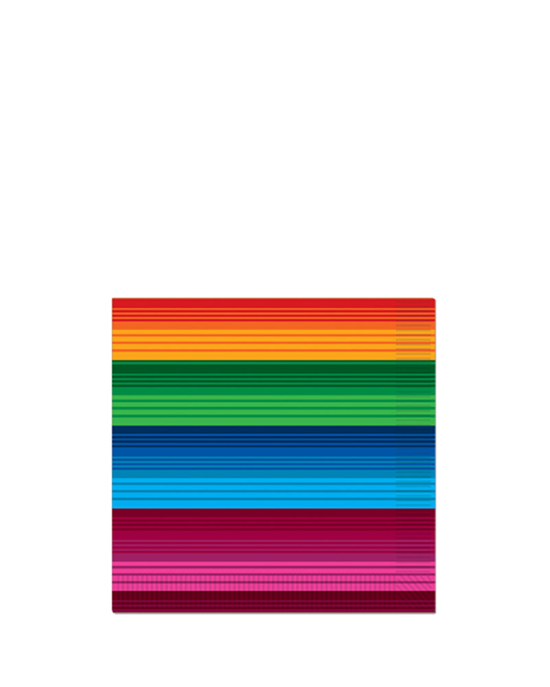 Mexican Serape Beverage Napkins Pack of 16