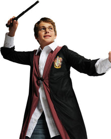 Harry Potter Costume Kit