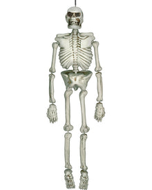 Lifesize Plastic Skeleton 1.6m For Halloween