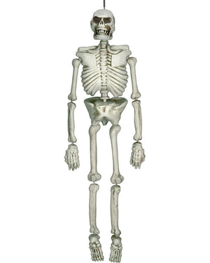 Lifesize Plastic Skeleton 1.6m