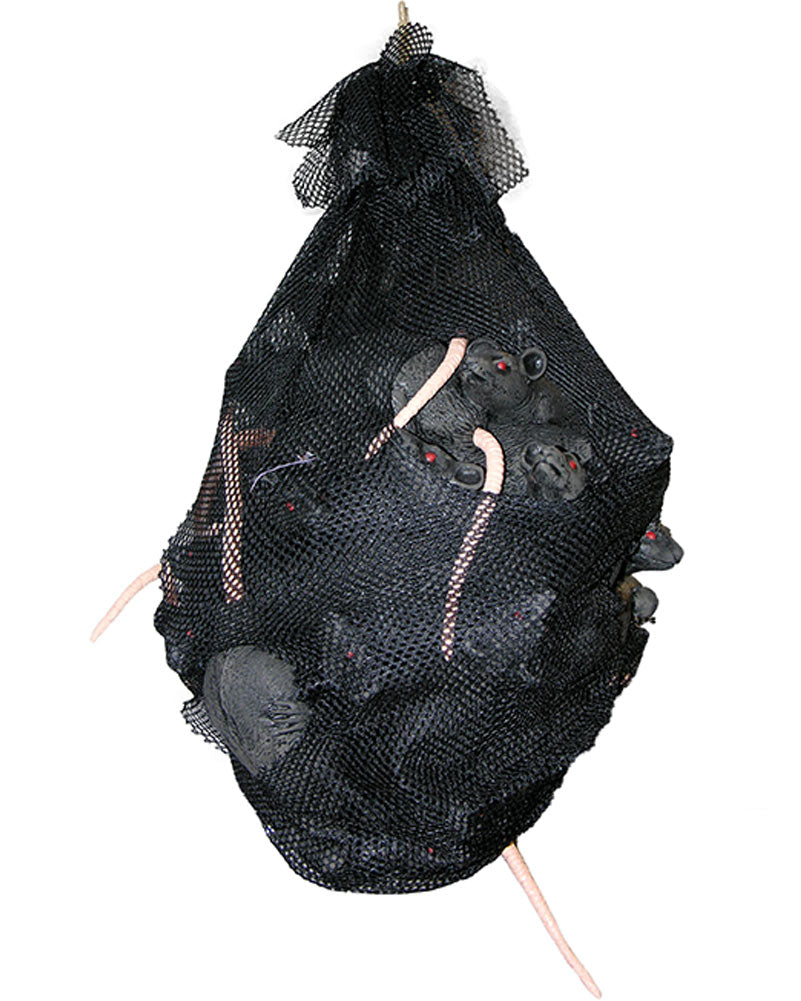 Bag of Rats