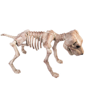 Large Dog Skeleton Prop