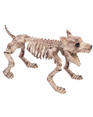 Small Dog Skeleton Prop