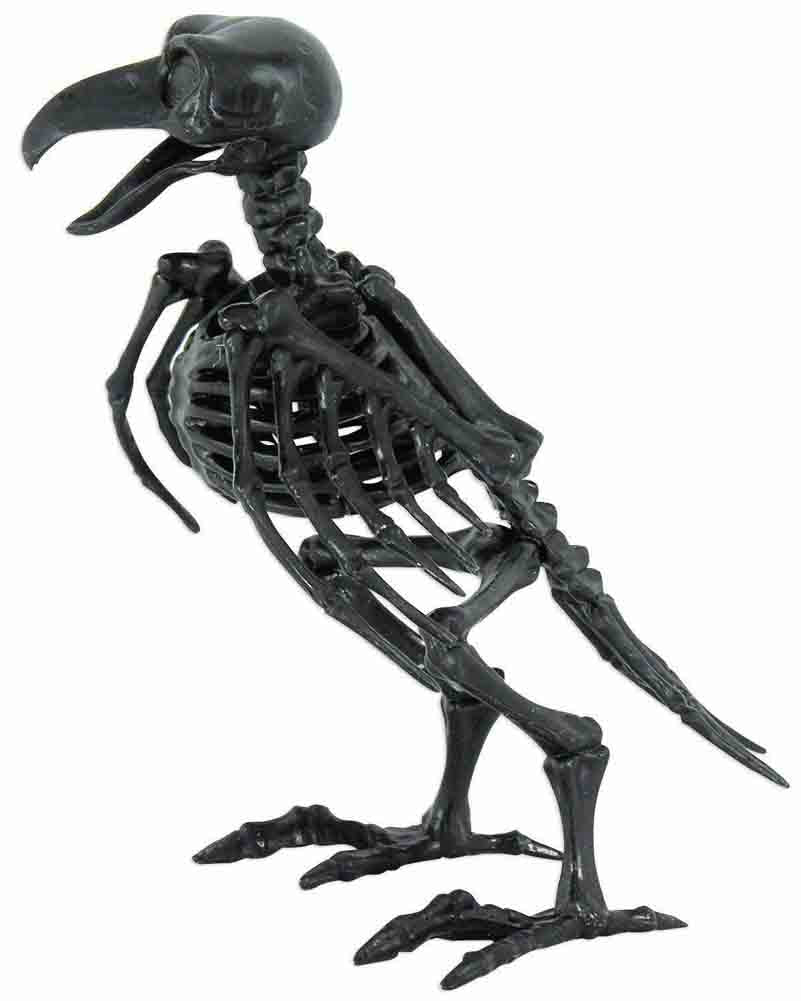 Raven Skeleton Prop