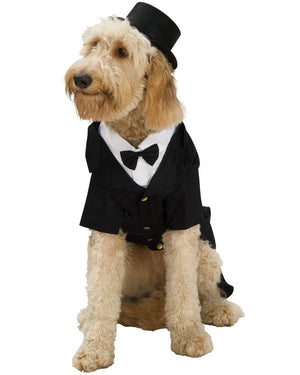 Dapper Dog Pet Costume