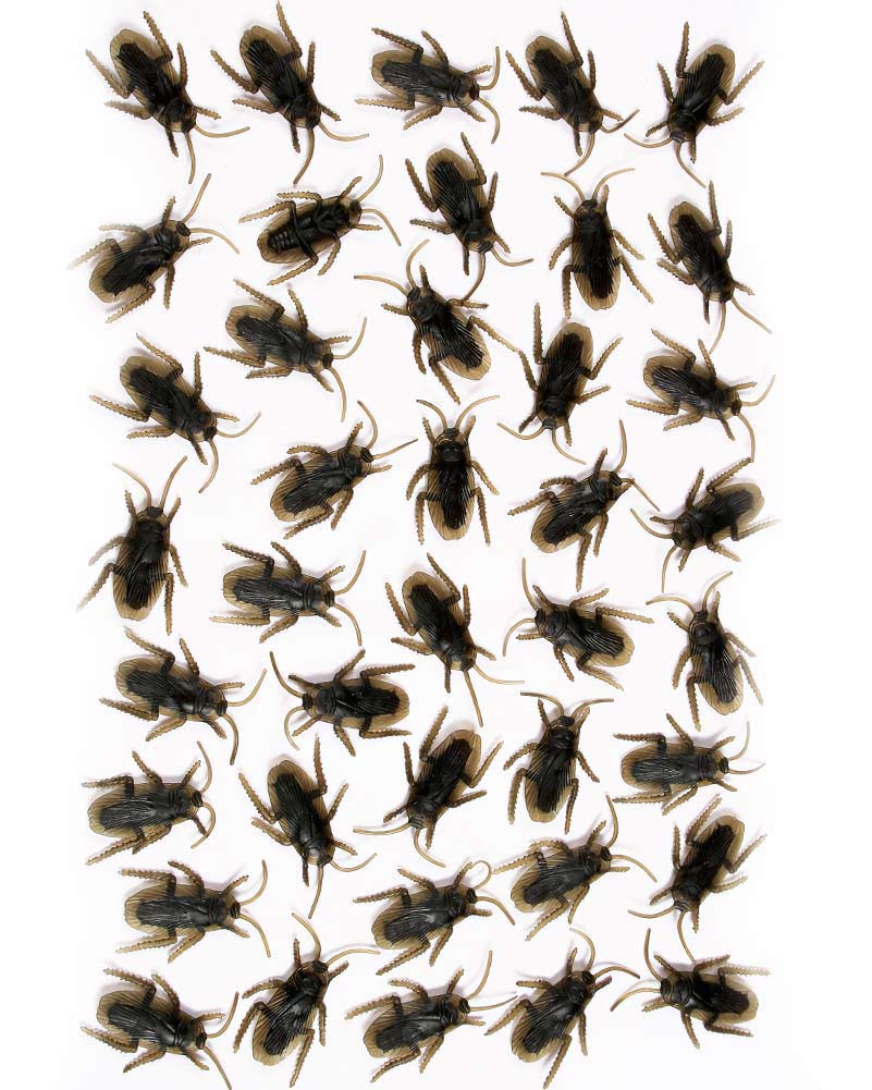 Creepy Creatures Bag of Roaches