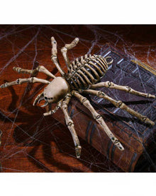 Spider Skeleton 23cm For Halloween