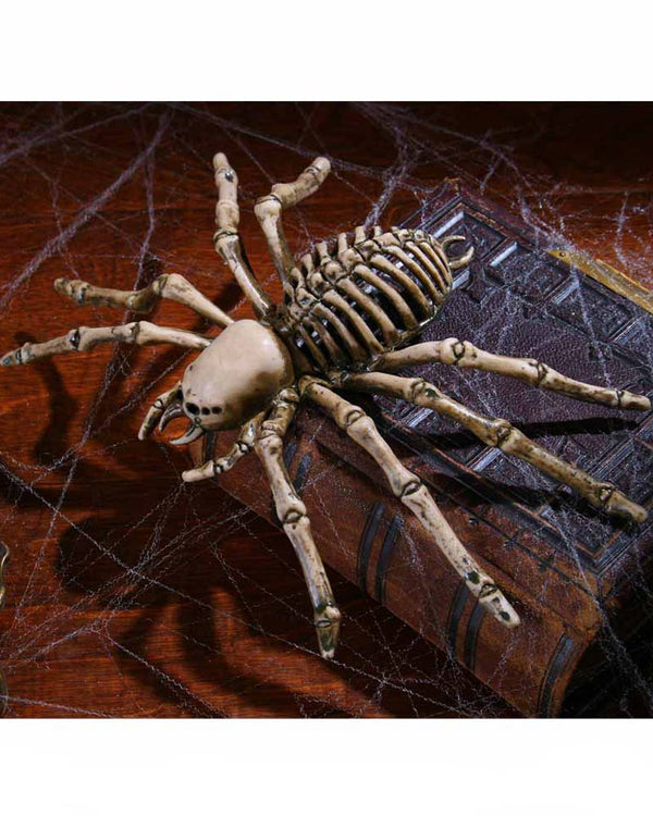 Spider Skeleton 23cm