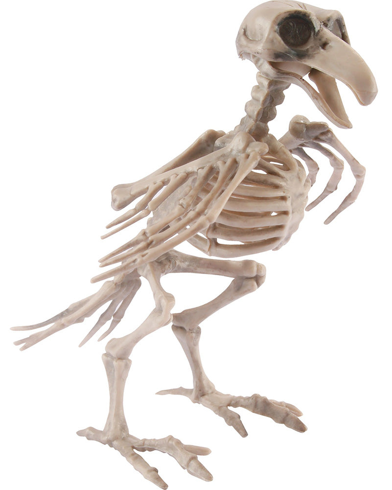 Skele-Bird 20cm