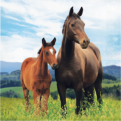 Horse and Pony Lunch Napkins Pack of 16