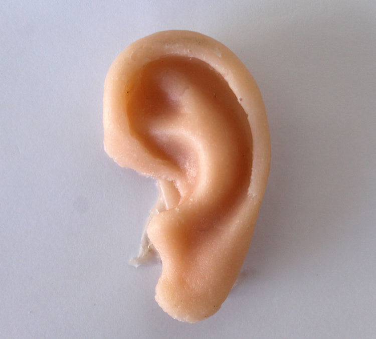 Unpainted Ear Prop