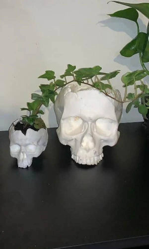 White Small Skull Pot Plant Holder