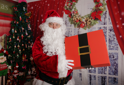 Professional Plush Santa Suit Plus Size Mens Christmas Costume