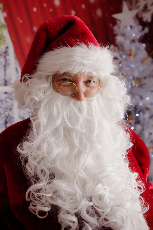 Professional Plush Santa Suit Mens Christmas Costume