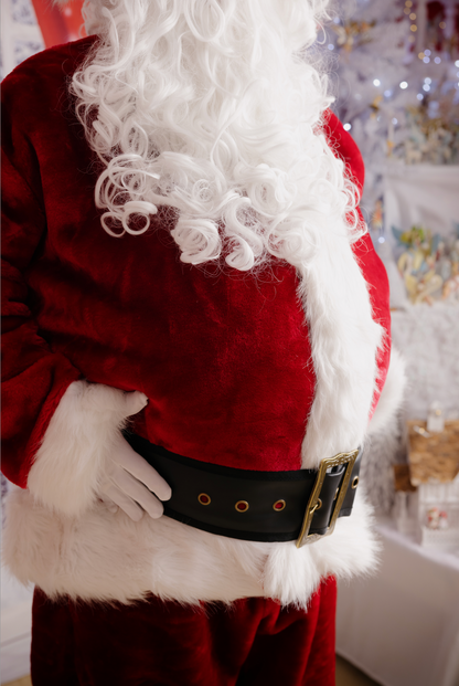 Professional Plush Santa Suit Plus Size Mens Christmas Costume