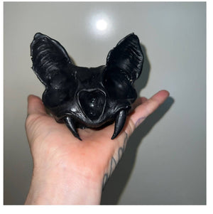 Black Bat Skull Plant Holder