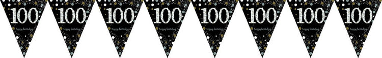 Sparkling Celebration 100 Prismatic Pennant Banner - Plastic