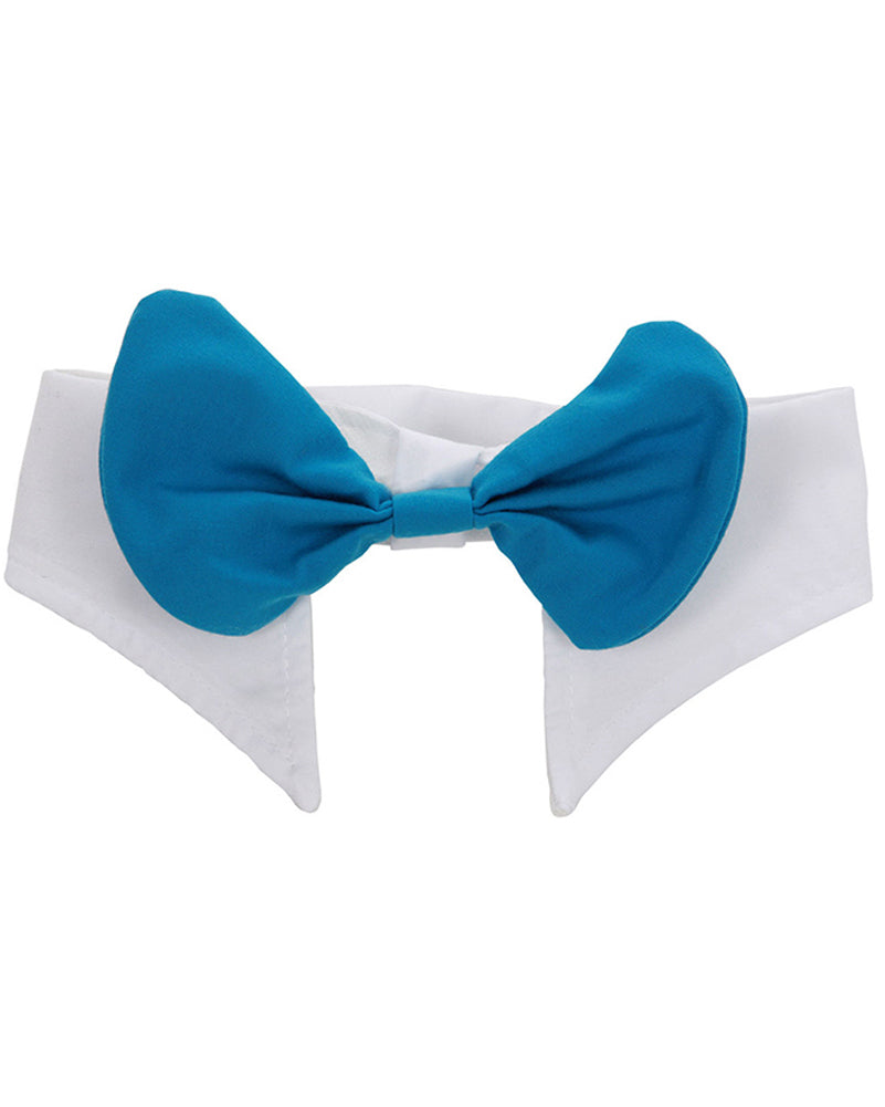 Alice in Wonderland Mad Hatter Hat with Hair and Collar Deluxe Set