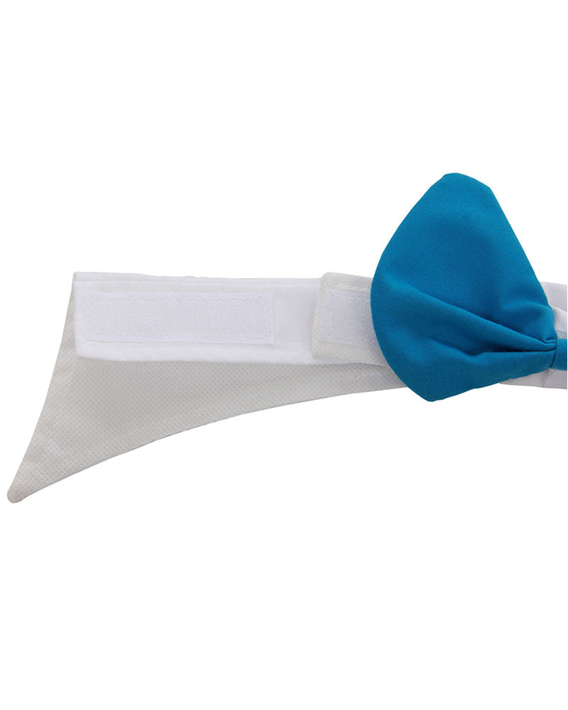 Alice in Wonderland Mad Hatter Hat with Hair and Collar Deluxe Set