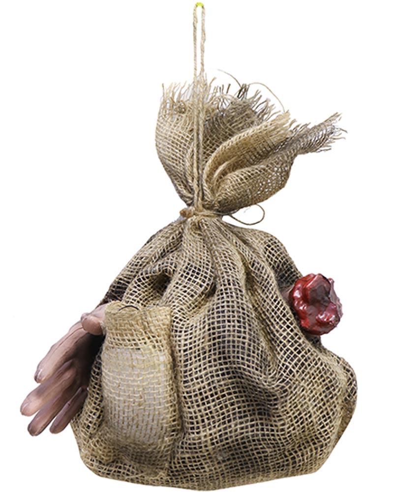 Animated Shaking Bag of Hands 36cm