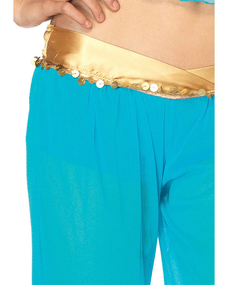 Arabian Beauty Womens Costume