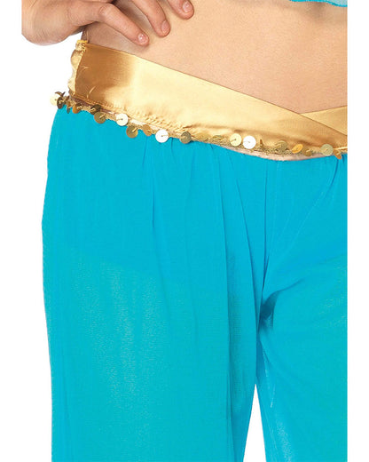 Arabian Beauty Womens Costume