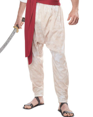 Arabian Folk Hero Mens Costume