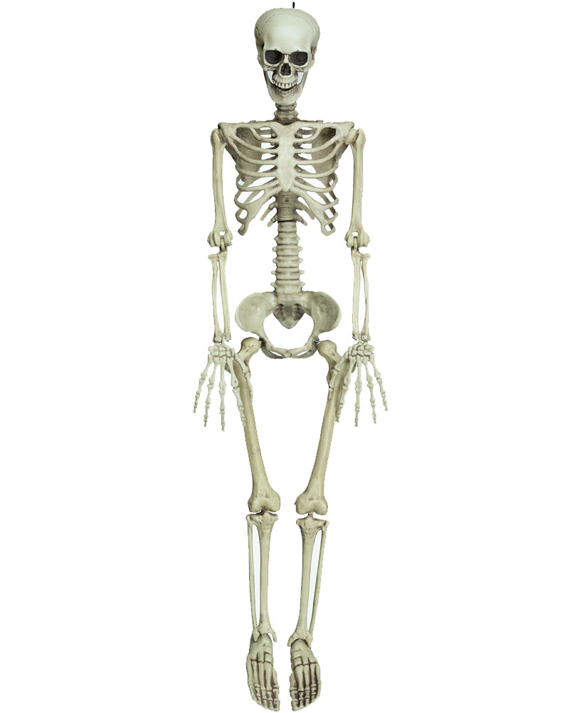 Little Mate Posable Skeleton Prop 90cm