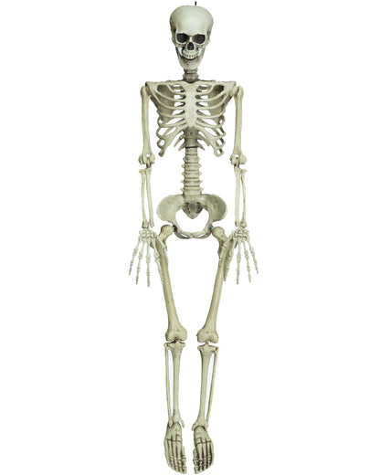 Little Mate Posable Skeleton Prop 90cm