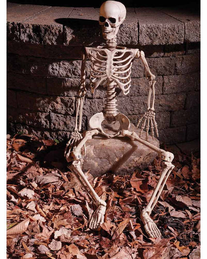 Little Mate Posable Skeleton Prop 90cm