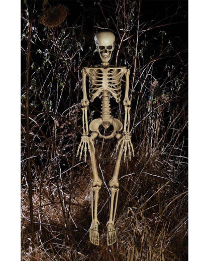 Little Mate Posable Skeleton Prop 90cm