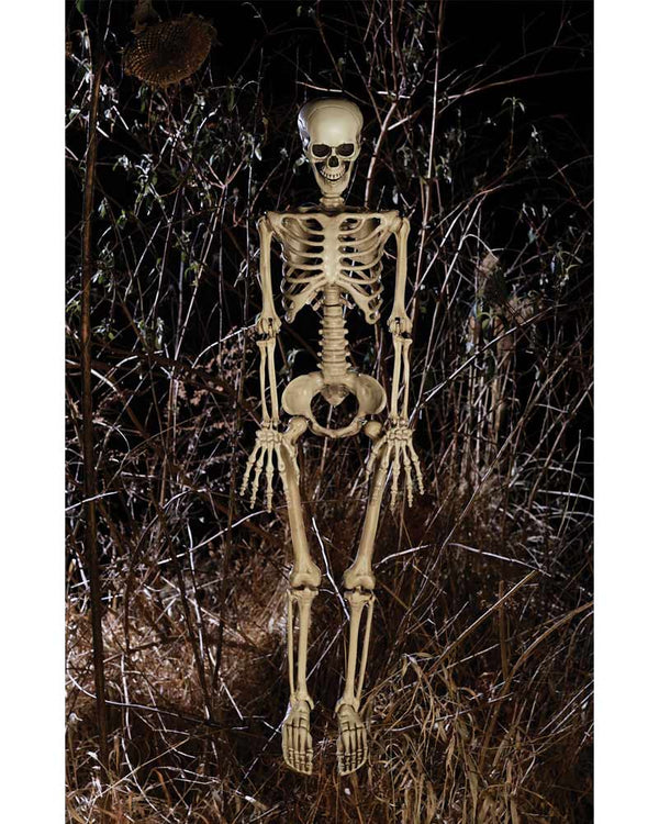 Little Mate Posable Skeleton Prop 90cm