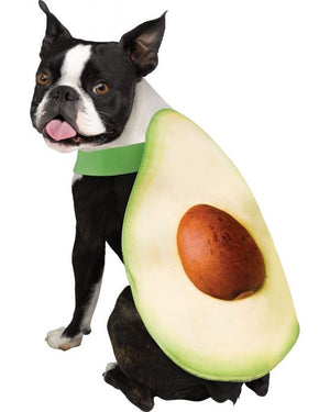 Avocadog Pet Costume