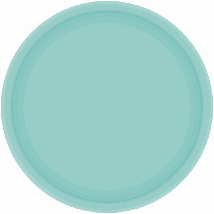 Robins Egg Blue 23cm Round Paper Plates Pack of 20
