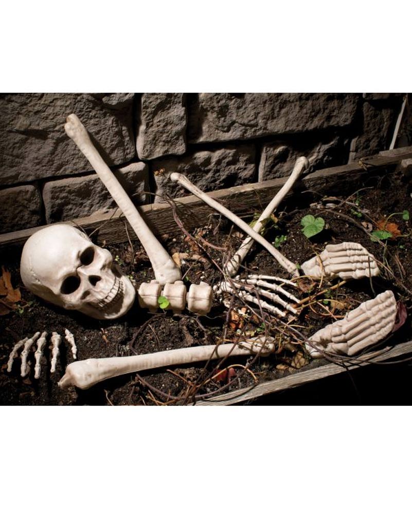 Bag o Bones 10 Piece Set