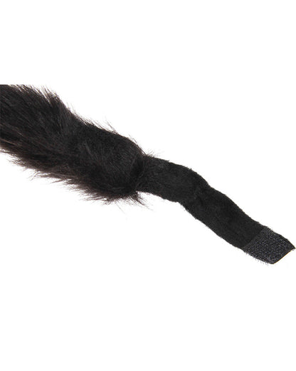 Black and Pink Cat Ears Collar and Tail Deluxe Set